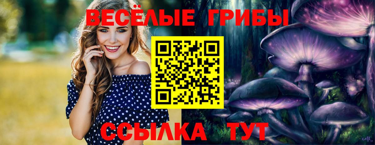 Галлюциногенные грибы мухоморы  Галлюциногенные грибы Psilocybine cubensis  Искитим  Вход с VPN 